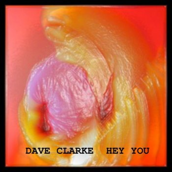 Dave Clarke Its Not in Your Heart