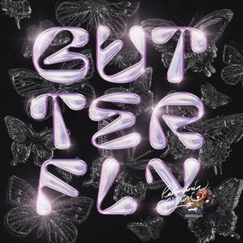 Rahmania Astrini butterfly