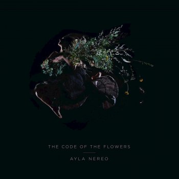Ayla Nereo Tightrope Walker