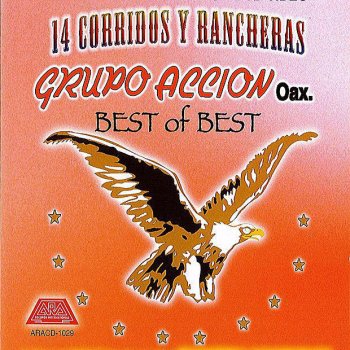 Grupo Accion Oaxaca Pueblos Solos