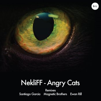 Nekliff Angry Cats - Original Mix