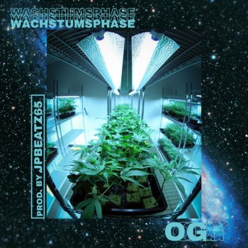 OG Kopfsache