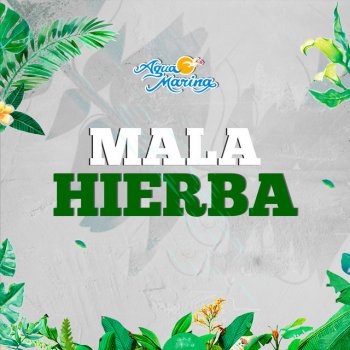Agua Marina Mala Hierba