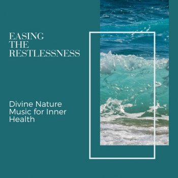 Relaxing Ocean Music Project Foamy Forest Water