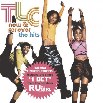 TLC No Scrubs (Rap version)