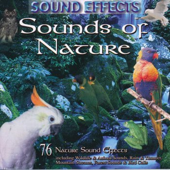 Sound Effects Waterfall