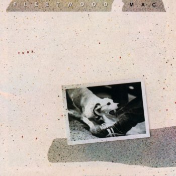Fleetwood Mac Never Forget