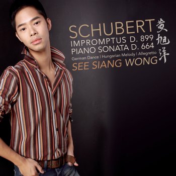 See Siang Wong Piano Sonata in A Major, D. 664 (Op. 120): II. Andante