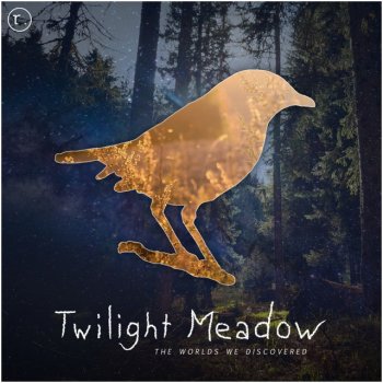 Twilight Meadow feat. The Sailor's Lantern Galaxies Apart - Original Mix