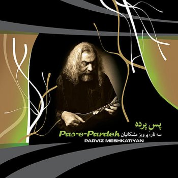 Parviz Meshkatian Improvisation In Bayat-e-Esfahan 7