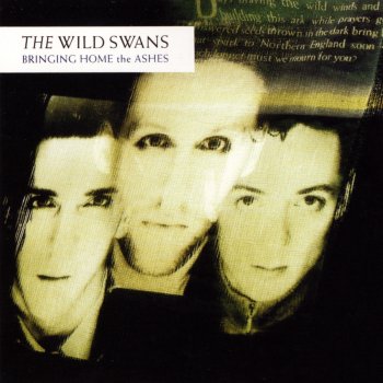 The Wild Swans Young Manhood