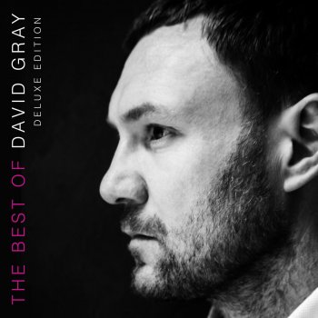 David Gray Enter Lightly