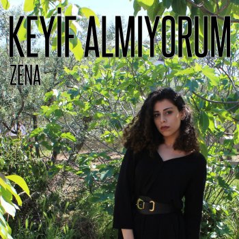 Zena Kırmızı Kamyon