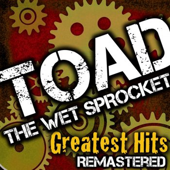 Toad the Wet Sprocket Walk On The Ocean - Live Version