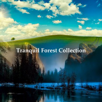 Tranquil Forest Effect Chorus Roll