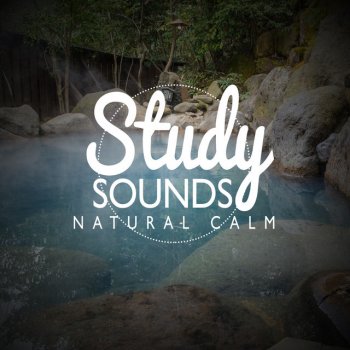 Exam Study Nature Music Nature Sounds Afternoon Bird Chorus