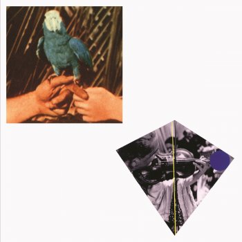 Andrew Bird Saints Preservus