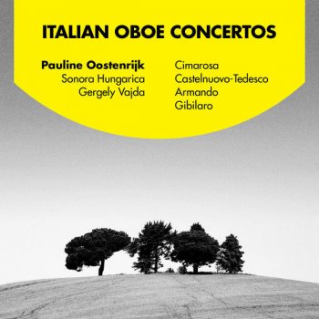Gergely Vajda feat. Pauline Oostenrijk & Sonora Hungarica Concertino For Oboe And Strings, Op. 11: II. Andante Cantabile