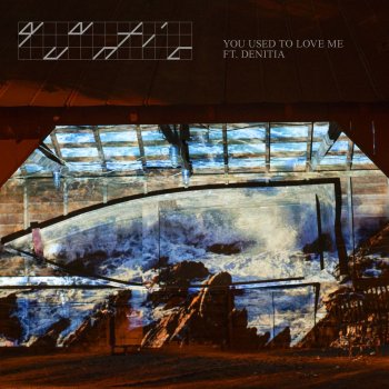 Quantic feat. Denitia You Used to Love Me - Radio Edit