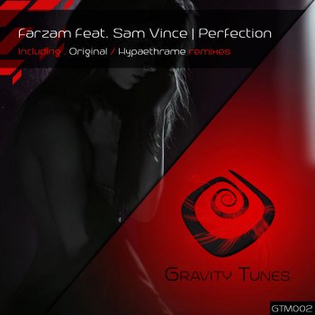 Farzam feat. Sam Vince Perfection