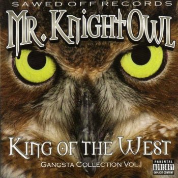 Mr. Knightowl www.lowprofilerecords.com Mix