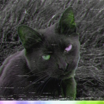 Pritty Black on Black