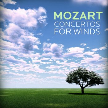 Württemberg Chamber Orchestra Concerto In B-flat Major For Bassoon And Orchestra, K. 191: III. Rondo: Tempo Di Minuetto
