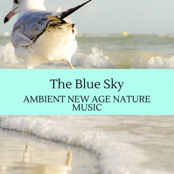 Psychic Waves Music Project Filtered Ocean Water