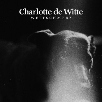 Charlotte de Witte Weltschmerz (Melodic Theme)