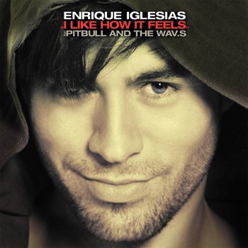 Enrique Iglesias feat. Pitbull & The WAV.s I Like How It Feels (DJ Vice Remix)