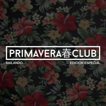 Primavera Club その波で