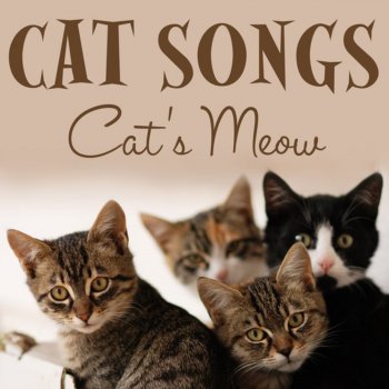 Cat's Meow Cat Meow (3 Types)