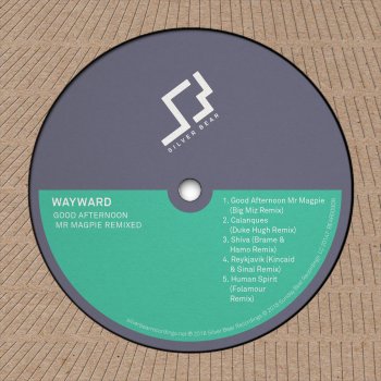 Wayward Shiva - Brame & Hamo Remix