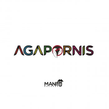 Agapornis Outsider