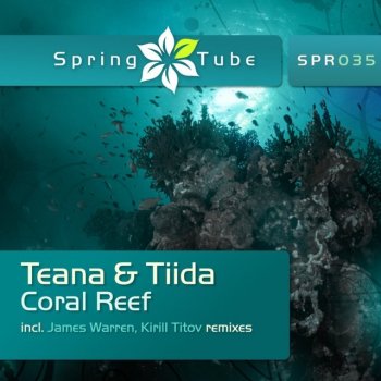 Teana & Tiida Coral Reef