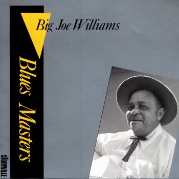 Big Joe Williams Shake 'Em Down