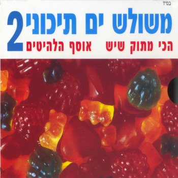 סגיב כהן מה לך