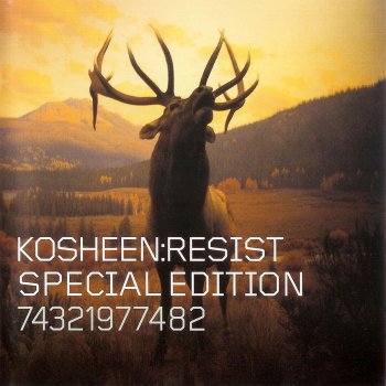Kosheen Catch (Decoder & Substance Breakers Mix)