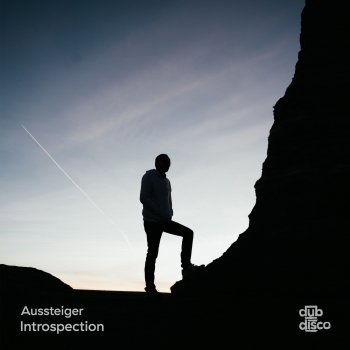 Aussteiger Introspection