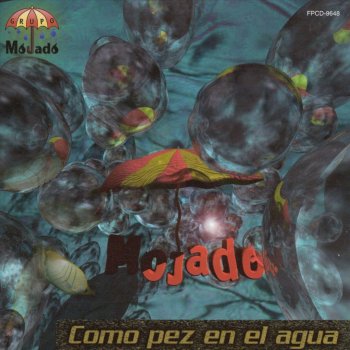 Grupo Mojado Mi Destino
