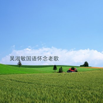 吳淑敏 十字路口 (Crossroads)