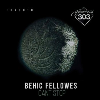 Исполнитель Behic Fellowes, альбом Can't Stop EP