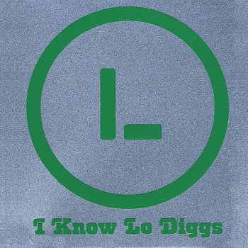 Lo Diggs Chrome Paint