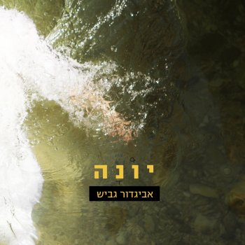 אביגדור גביש יונה