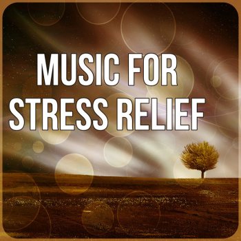 Stress Relief Calm Oasis Soltitude (Music for Massage)