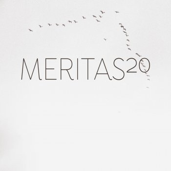 Meritas feat. Massimo Odjednom Ti