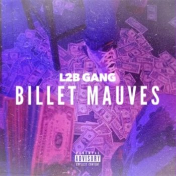 L2B Gang Billets Mauves