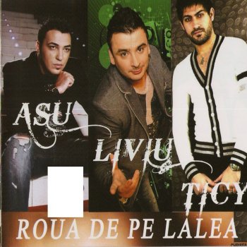 Asu, Ticy & Liviu Guta Roua De Pe Lalea ( Feat. Liviu Guta & Ticy )