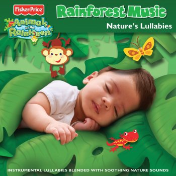 Fisher-Price A Dream in Green