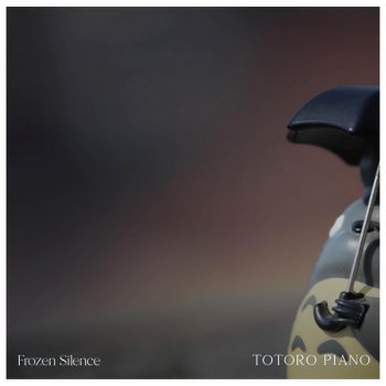 Frozen Silence Totoro Piano